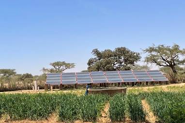 L'ISTOM : école des transitions agricoles, énergétiques, environnementales