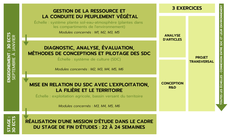 Schéma de l'organisation pédagogique du Domaine d'Approfondissement Productions Végétales Tropicales