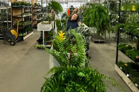 edenia